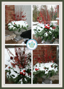 Tuesday Tip:  Fill your Outdoor Urns NOW!