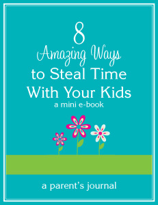 Stealing Time MINI Book