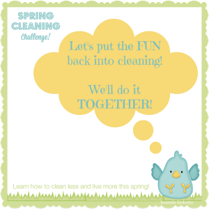 Spring Cleaning Challenge