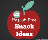 Peanut Free School Snacks