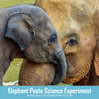 Elephant Paste