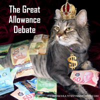 Great Allowance Debate